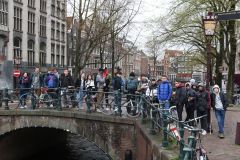 Xn-IMG_6118