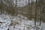 Xn-DSC_0078
