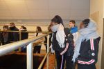 Xn-DSC_0215
