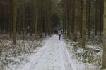 Xn-DSC_0219