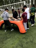 Xn-IMG_4888
