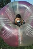 Xn-DSC_1874