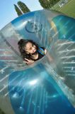 Xn-DSC_1878