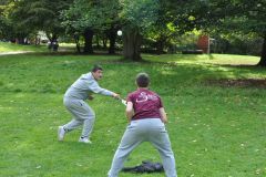 Xn-DSC_1915