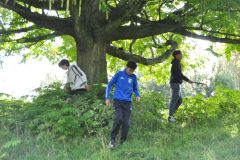 Xn-DSC_1944