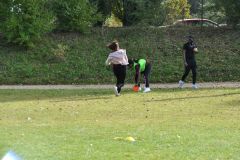 Xn-DSC_1950