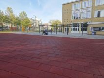 DSC02834_Xn